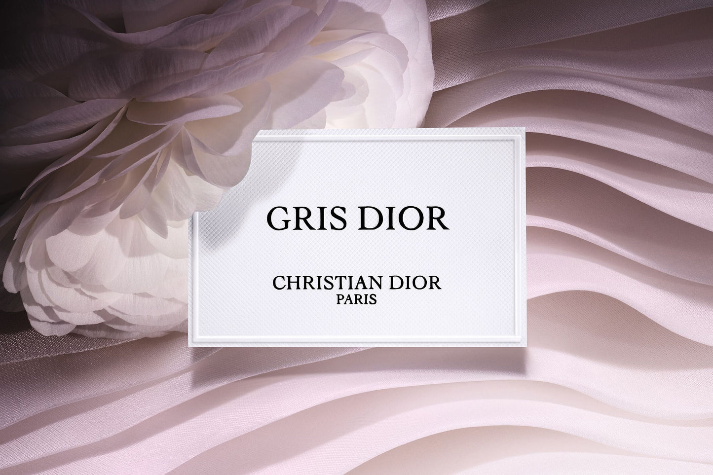 Gris Dior